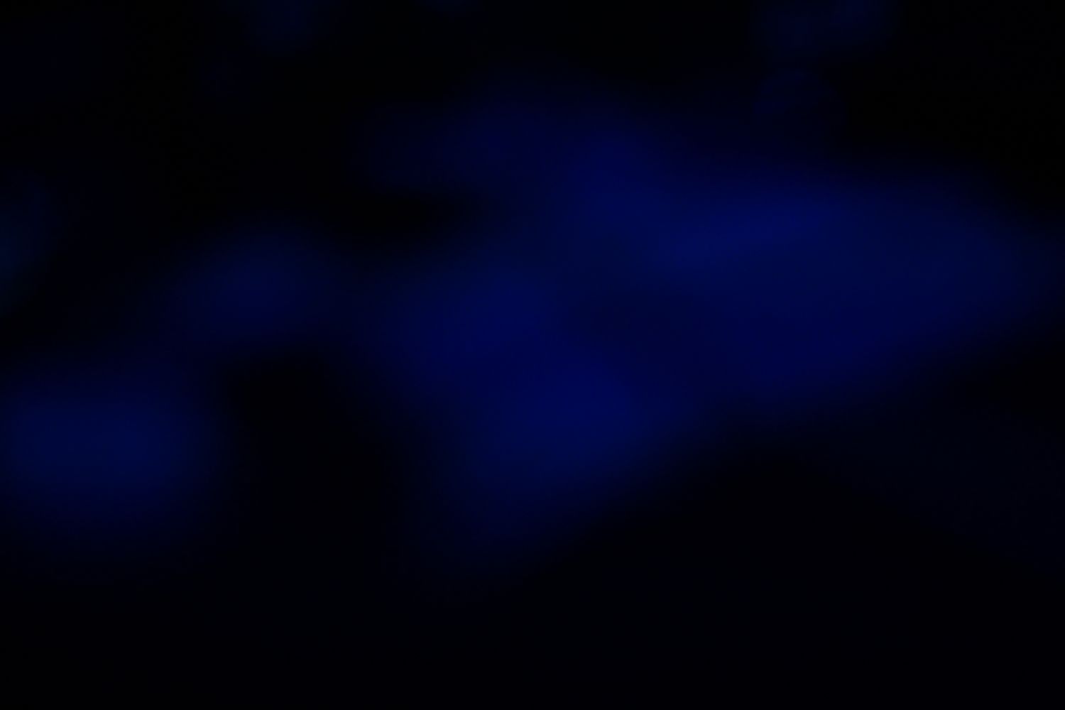 Redondo Beach, CA - 5/9/2025