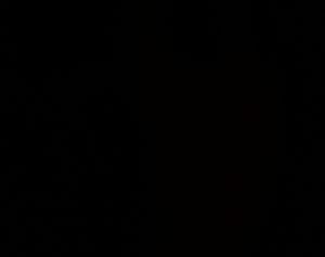 San Gabriel, CA - 3/14/2024