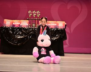 Chicago, IL - 4/11/2024