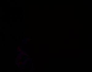 Colorado Springs, CO - 1/31/2025