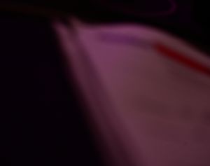 Colorado Springs, CO - 1/31/2025