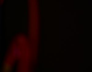 Colorado Springs, CO - 1/31/2025