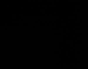 Atlanta, GA (Duluth) - 3/7/2025